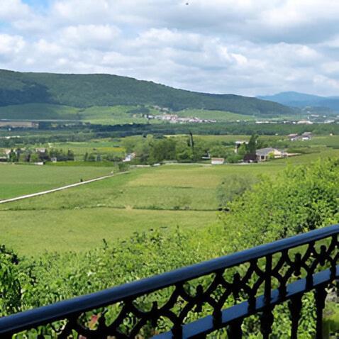 Casa Rural Pedronea Eltso Zewnętrze zdjęcie